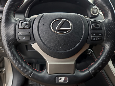2021 Lexus NX 300 F Sport