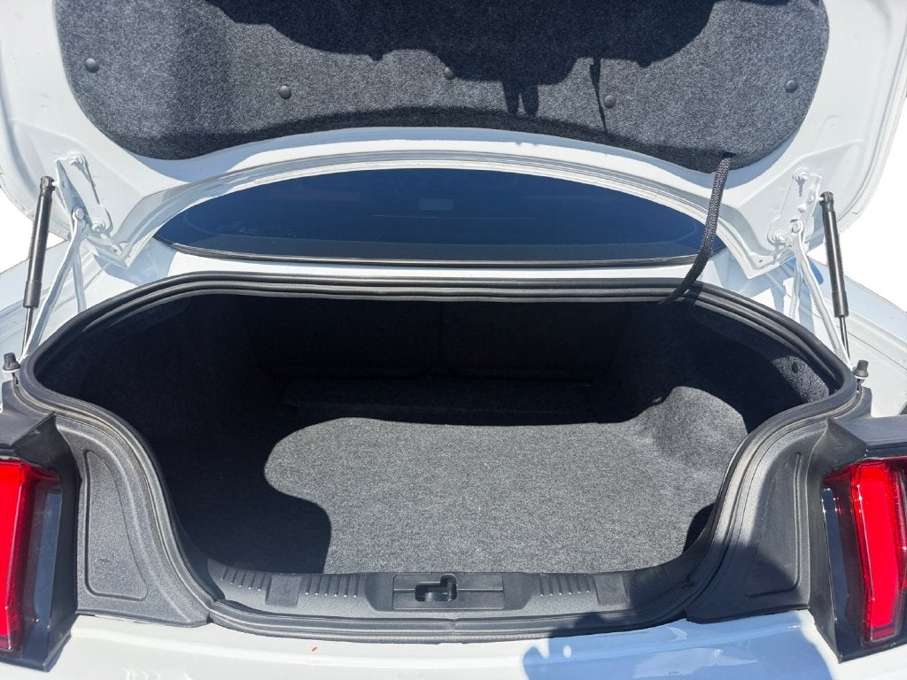 2019 Ford Mustang GT Premium STAGE 2 ROUSH