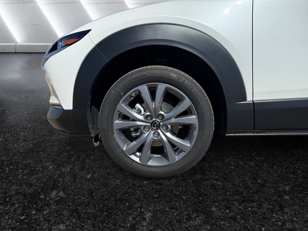 2025 Mazda Mazda CX-30 2.5 S Premium Package