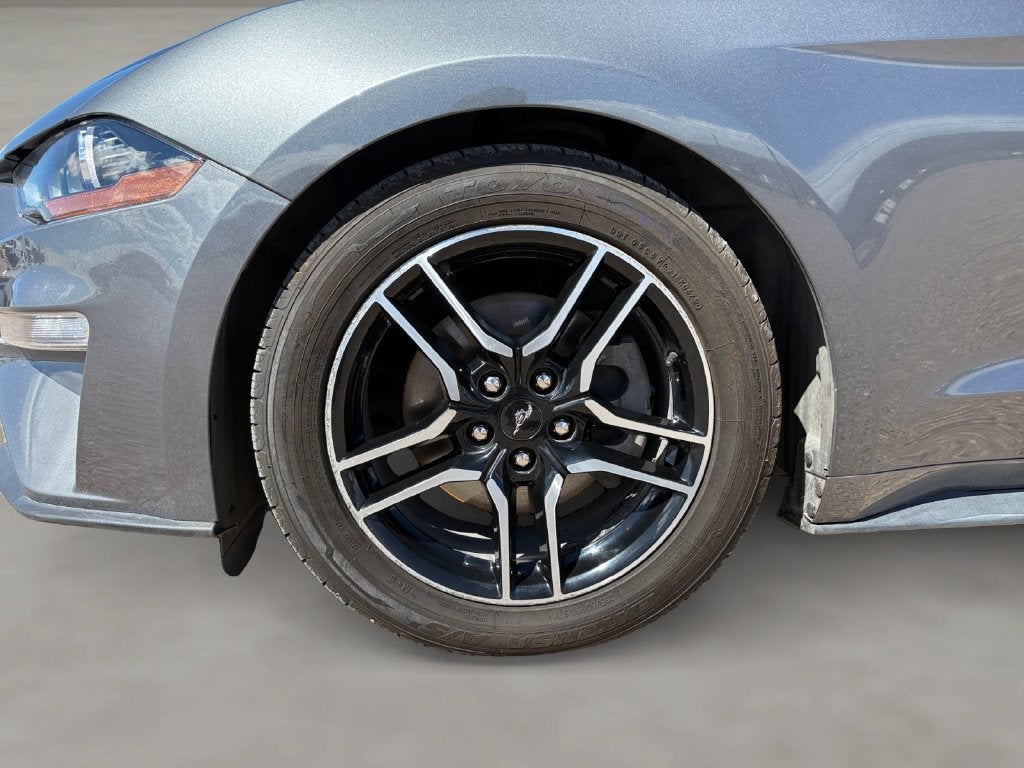 2022 Ford Mustang EcoBoost